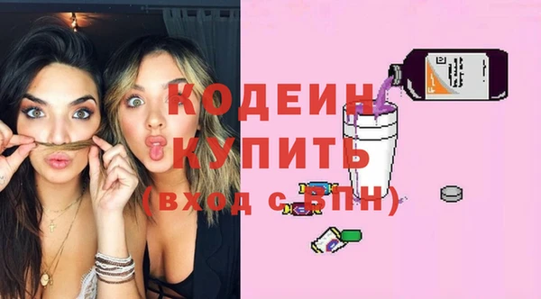 индика Горняк
