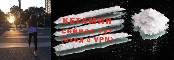 индика Горняк