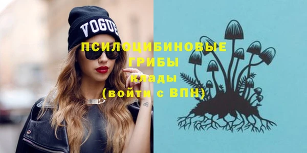 индика Горняк