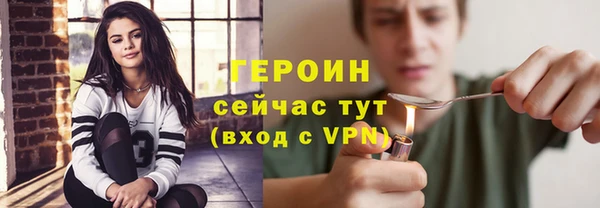 индика Горняк