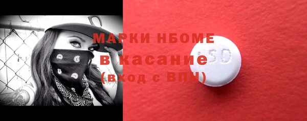 индика Горняк