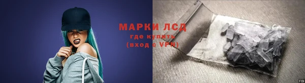 сатива Волосово