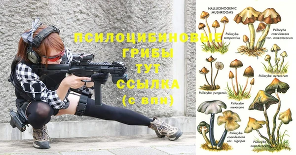 MDMA Горнозаводск