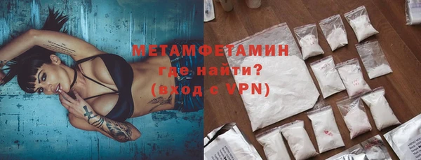 индика Горняк