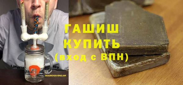 индика Горняк