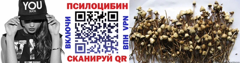 Галлюциногенные грибы прущие грибы  МЕГА вход  Заринск  где найти  